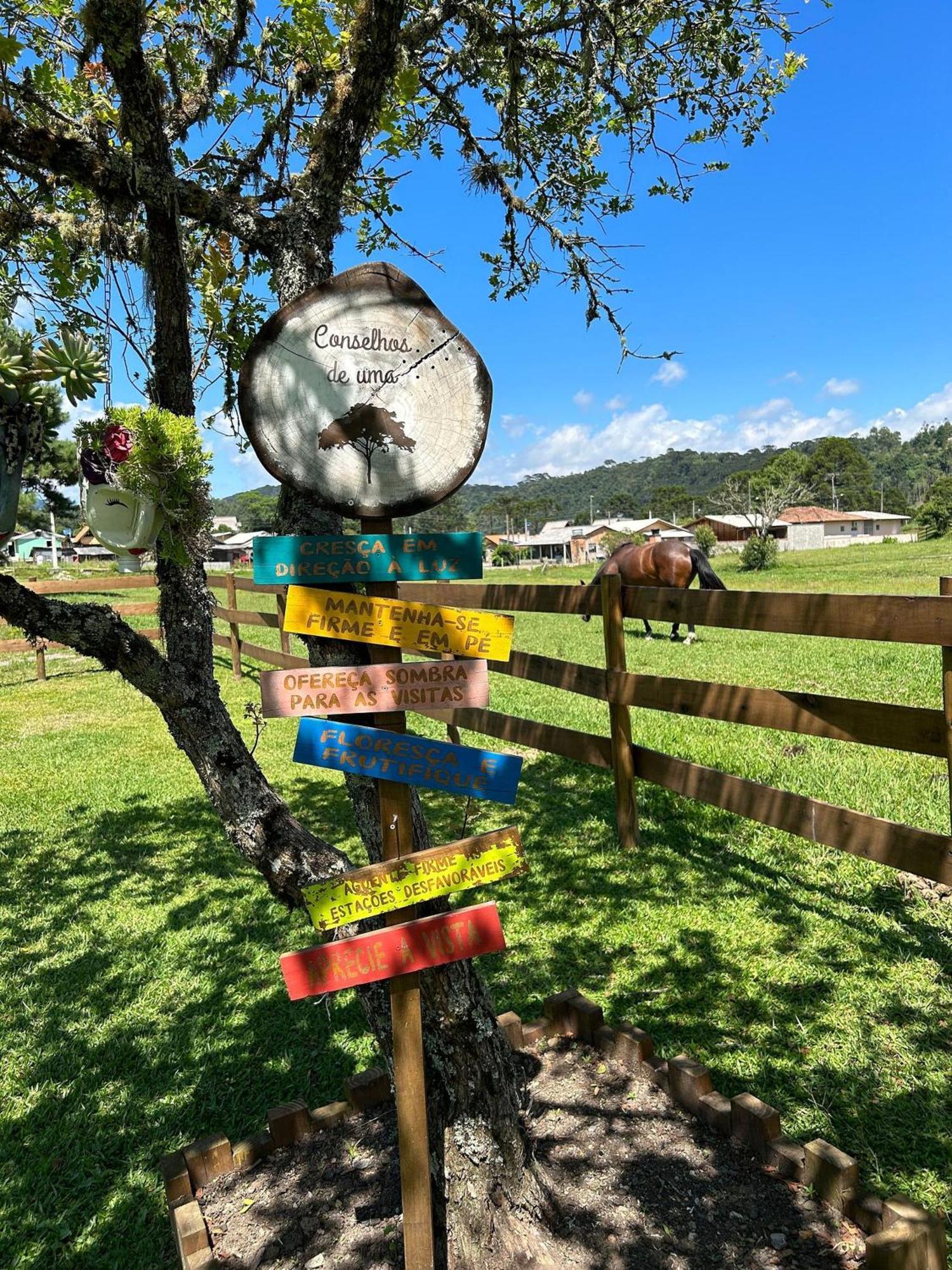 Toca Da Coruja Hospedagem - Urubici - Sc Exterior photo